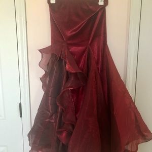 Bellydance Skirt